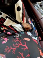 ⁦PolkaDot Line⁩ - الصورة ⁦4⁩